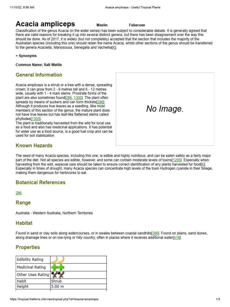 Acacia Ampliceps B Download Free Pdf Seed Legume