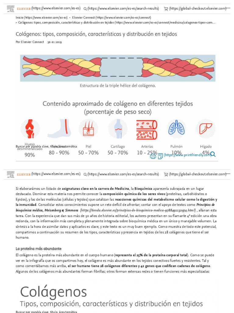Colágenos - Tipos, Composición, Características y Distribución en ...
