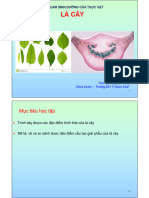 La Cay DLT 2023-2024.gui SV