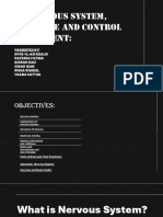 The Nervous System, Structure and Control of Movement