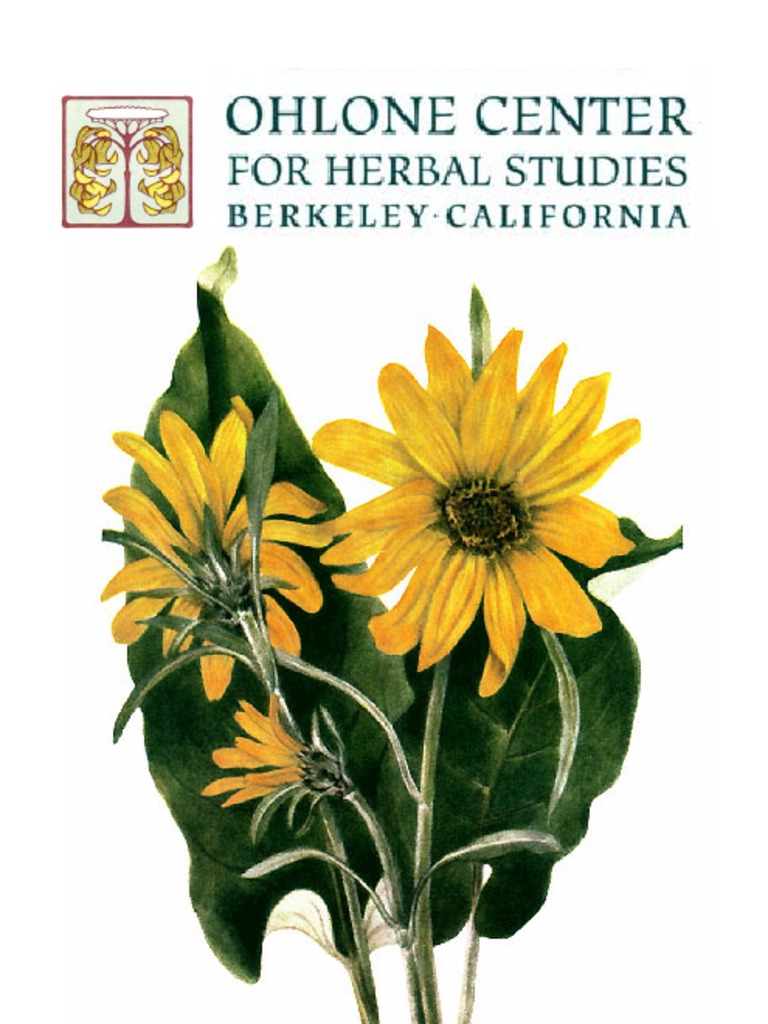 Brosur Herbal PDF Herbalism Internship