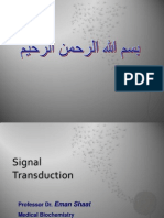 X X Signal Trans Duct Ion 333
