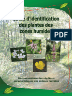 Guide D'identification Des Plantes Des Zones Humides