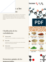 Introduccion A Los Carbohidratos