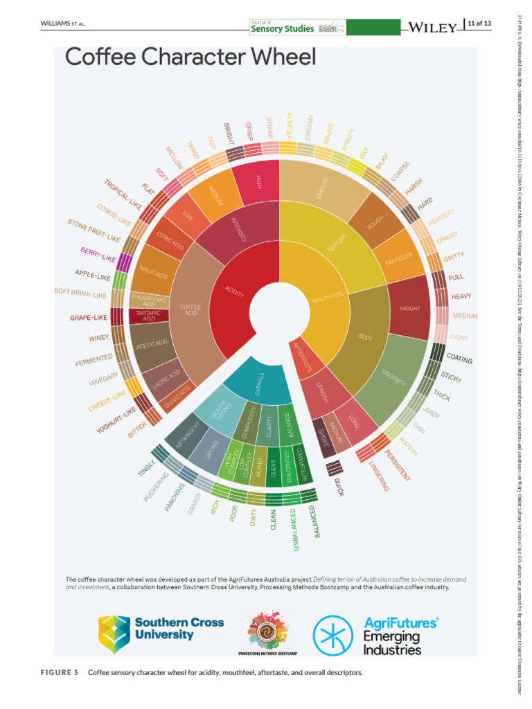 Coffee Sensory Character Wheel | PDF