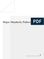 Major Metabolic Pathway Notes