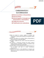 Carboidratos e glicobiologia: estruturas e funções