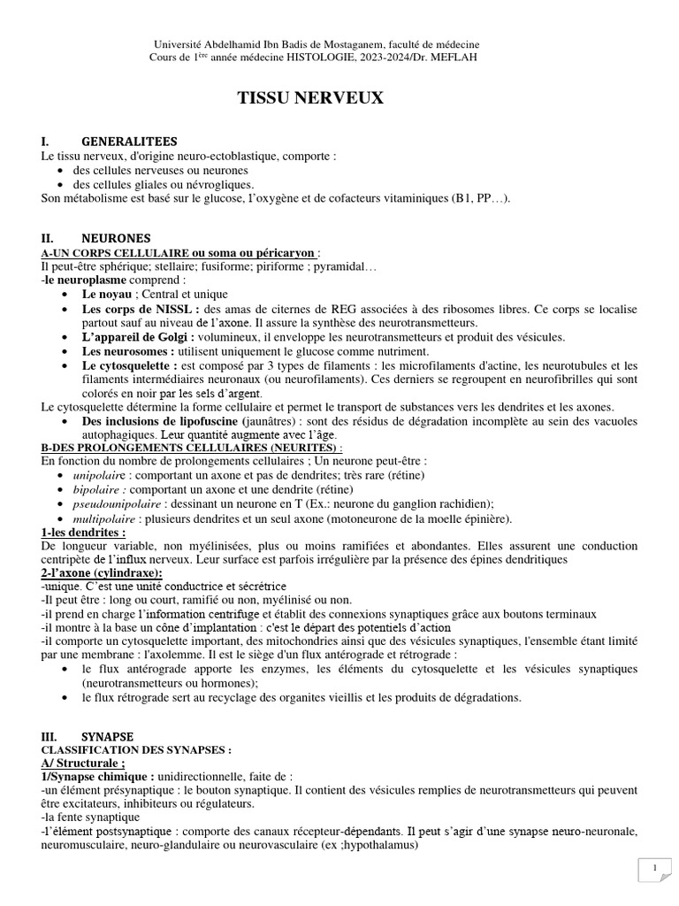 Anatomie et Fonction du Tissu Nerveux | PDF | Synapse | Myéline