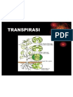 2 (Transpirasi Difusi Osmosis)