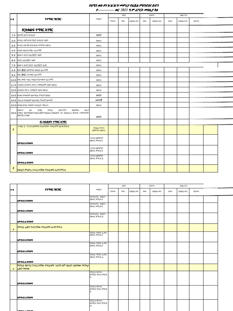 Exceell Report Format | PDF