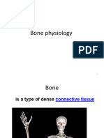 Bone Physiology