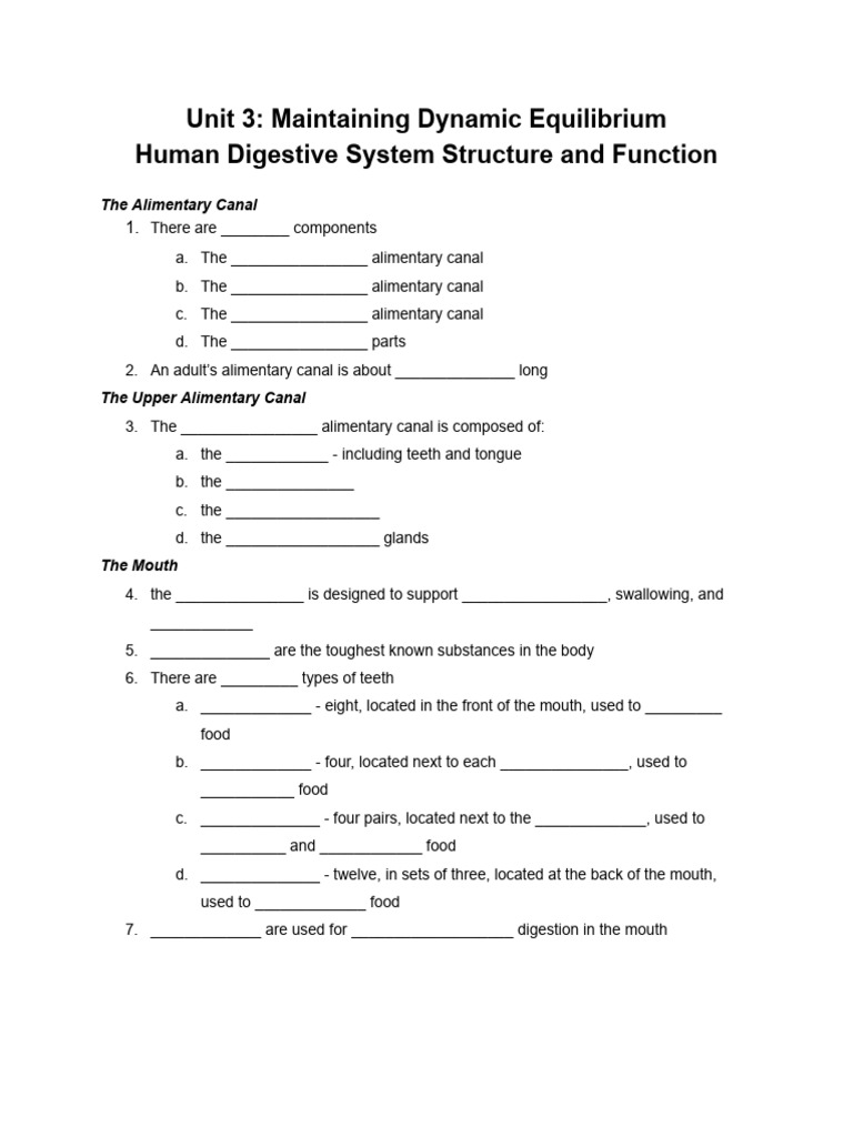 Human Digestive System Overview | PDF | Digestion | Gastrointestinal Tract