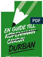 En guide till Durbanmötet