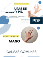 FX Mano, Pie