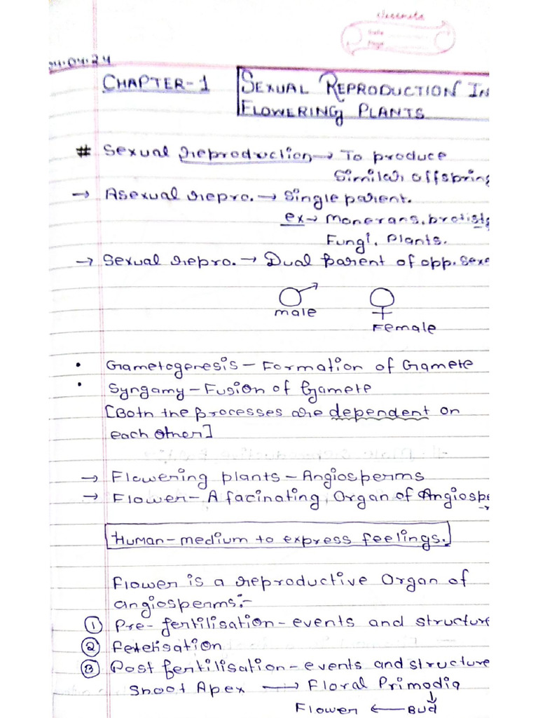 Bio Notes | PDF