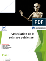 Anatomie Presentation 05