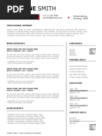 Helloyouth CV Template 013