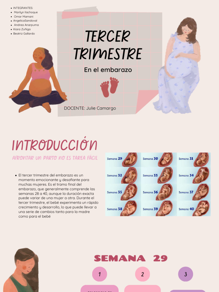 Presentación Preparación Parto Embarazo Femenino Rosa_compressed | PDF ...