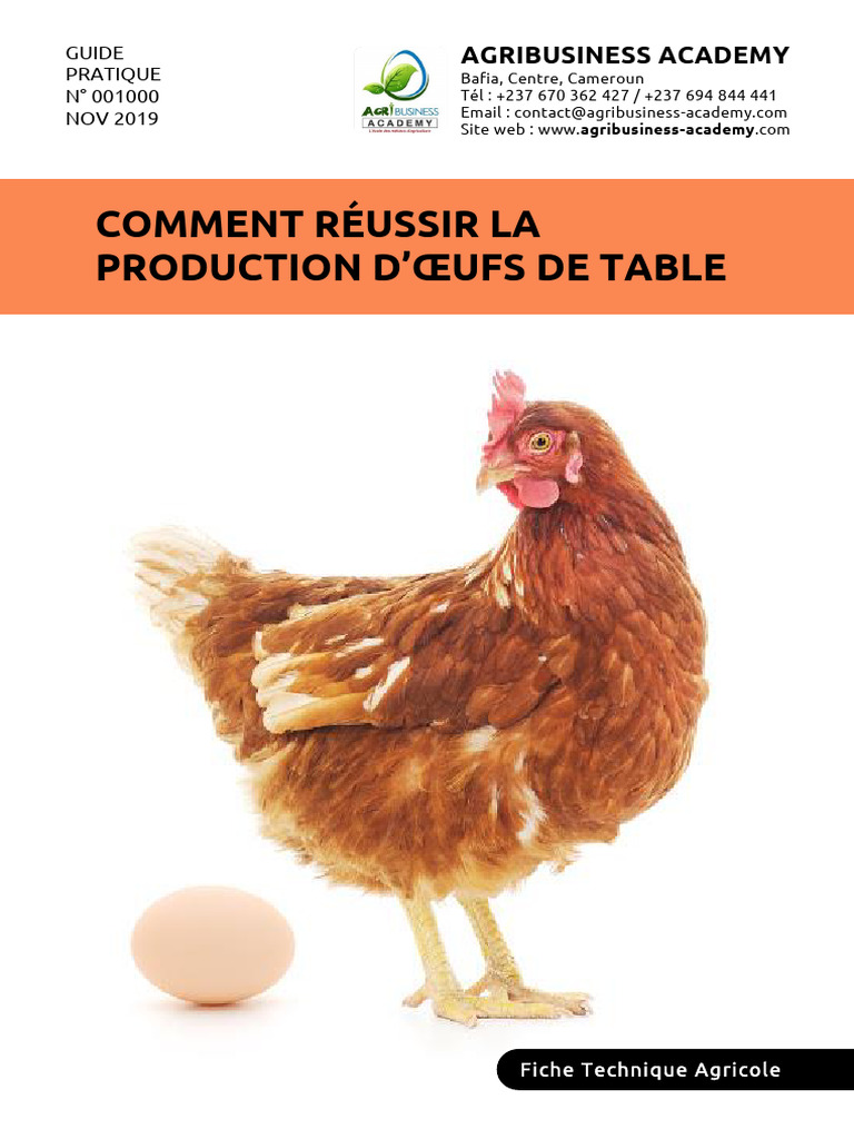 Guide Pratique Sur La Production D'oeufs de Table+ | PDF | Poulet