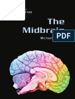 Michael Morgan - The Midbrain (Gray Matter) (2005)
