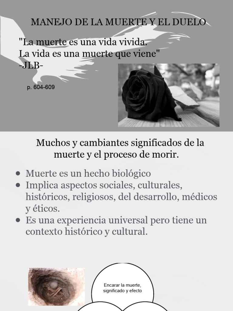 Manejo de La Muerte y El Duelo | PDF | Adultos | Dolor