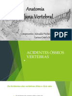 Anatomia - Coluna vertebral  PDF