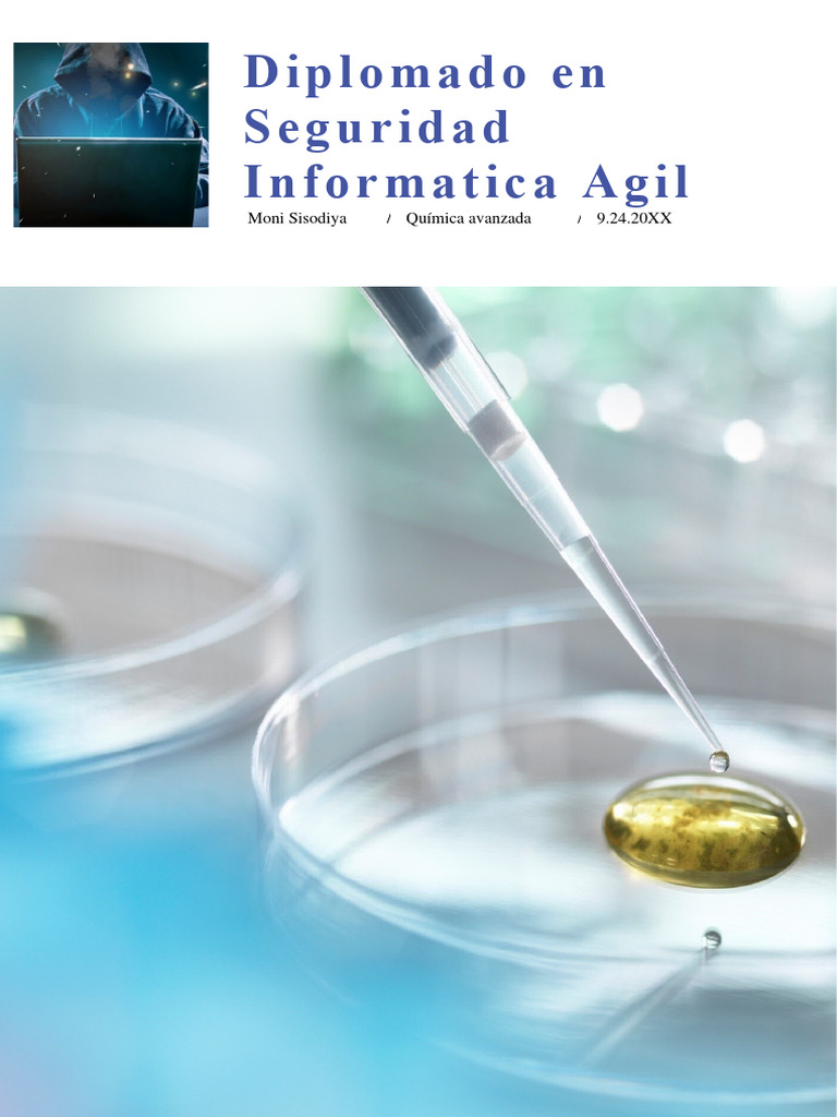 Diplomado En Seguridad Informatica Agil Pdf