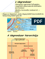 Kornyezetelettan 4