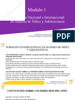 Normativa Nacional e Internacional en Materia de Niñez