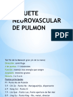 Paquete Neurovascular de Pulmon e Intestino Grueso