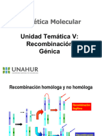 04_Recombinación-2019 UNAHUR