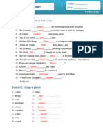 NOUNS-WORKSHEET 1 Key