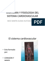 Anatomia y Fisiologia Del Sistema Cardiovascular