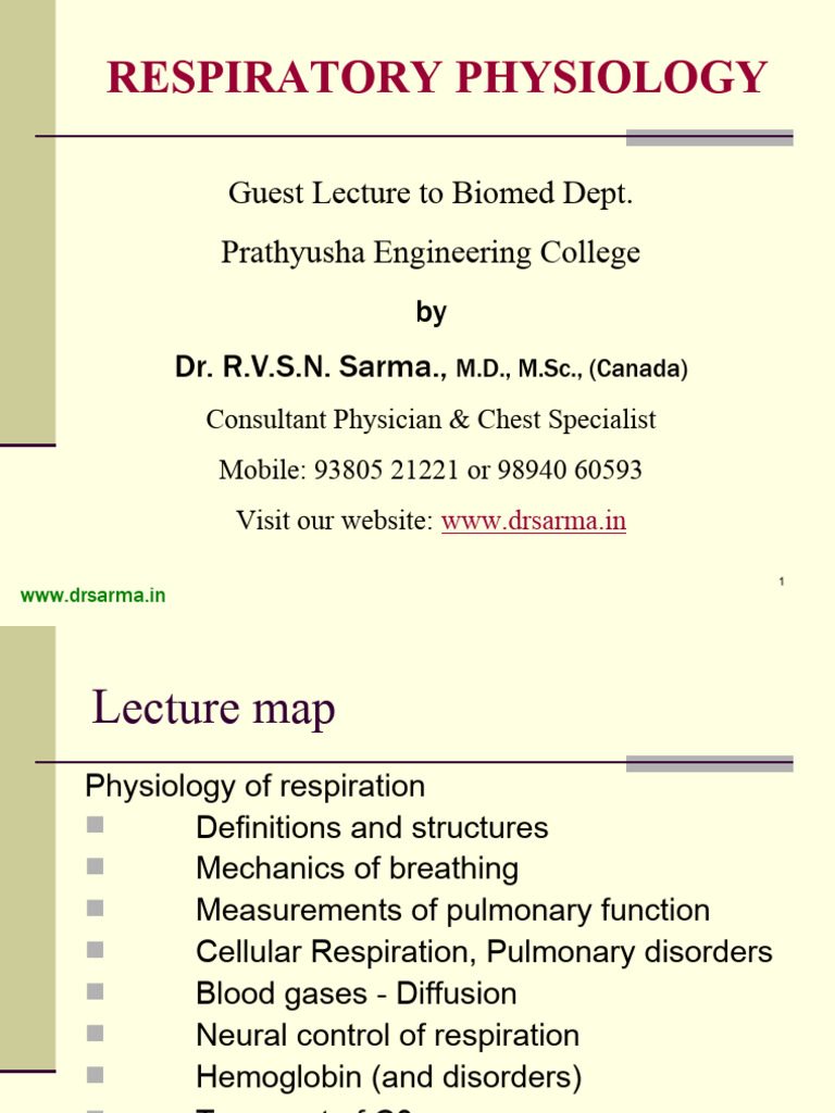 Respiratory Physiology Lecture Overview | PDF | Respiratory Tract | Lung