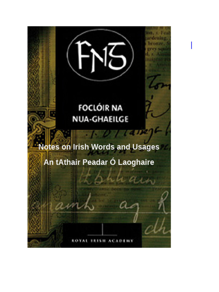 Irish Language Insights | PDF | English Language, image size:768x1024