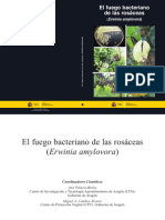 El Fuego Bacteriano de Las Rosáceas (Floricultura) (VV. AA.)