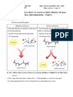 4.1.ENZYME ĐỀ