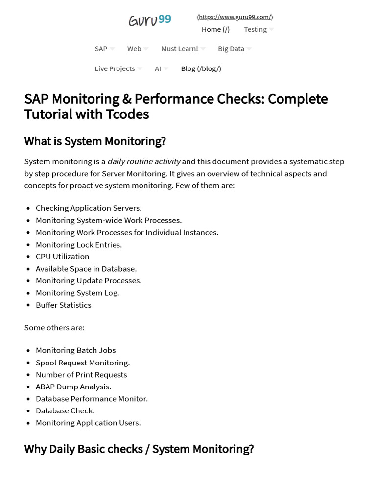 SAP Performance Monitoring Tcodes Guide | PDF | Computer Science ...
