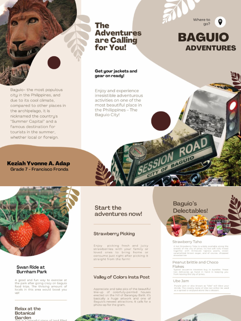 Brochure | PDF