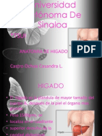 HIGADO