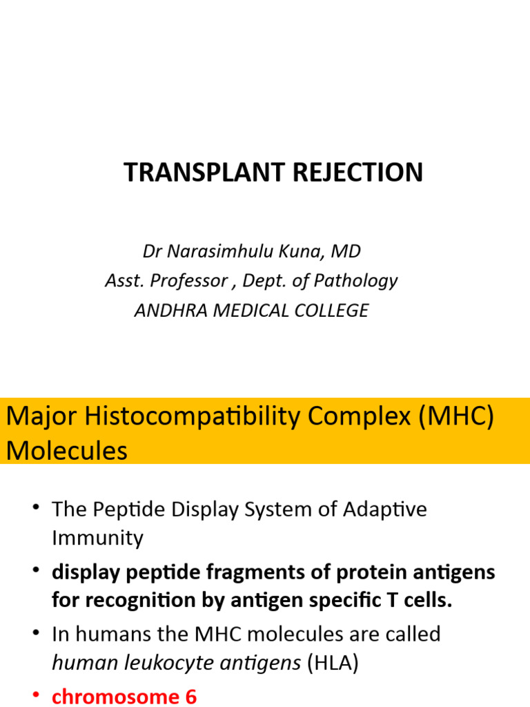 Immunity 3 PDF Transplant Rejection Major Complex