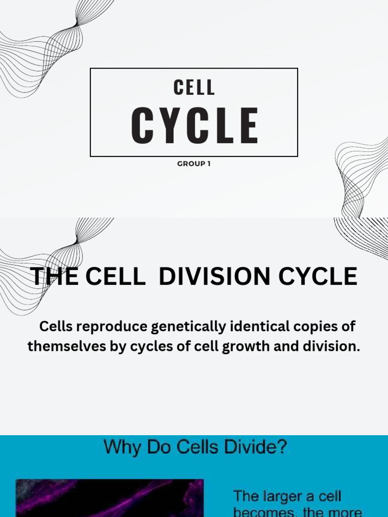 Cycle: Group 1 | PDF | Science & Mathematics