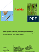 A Nádas