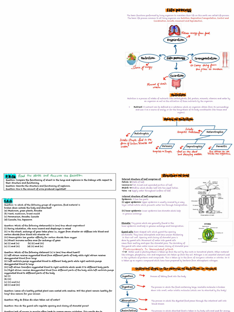 CH 5 Life Process | PDF