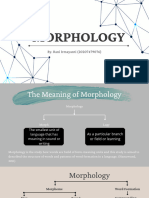 Morphology