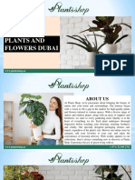 Plants and Flowers Dubai (1)