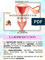 Aparato Reproductor FEMENINO-1