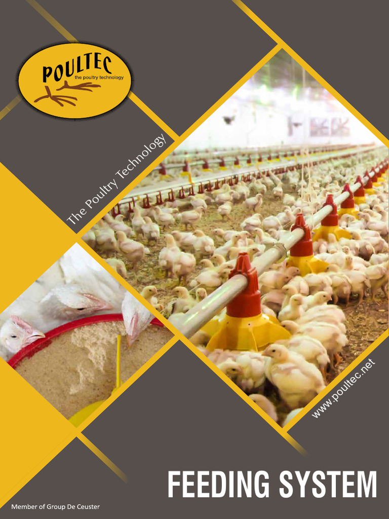 Feeding system x6 poultec2022 eng rev 2 web 1 pdf poultry