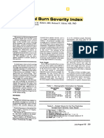 3A Practical Burn Severity Index