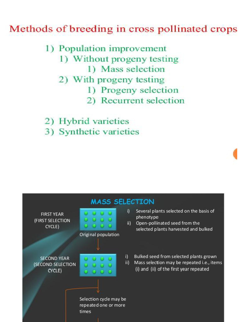 Population Improvement Methods | PDF